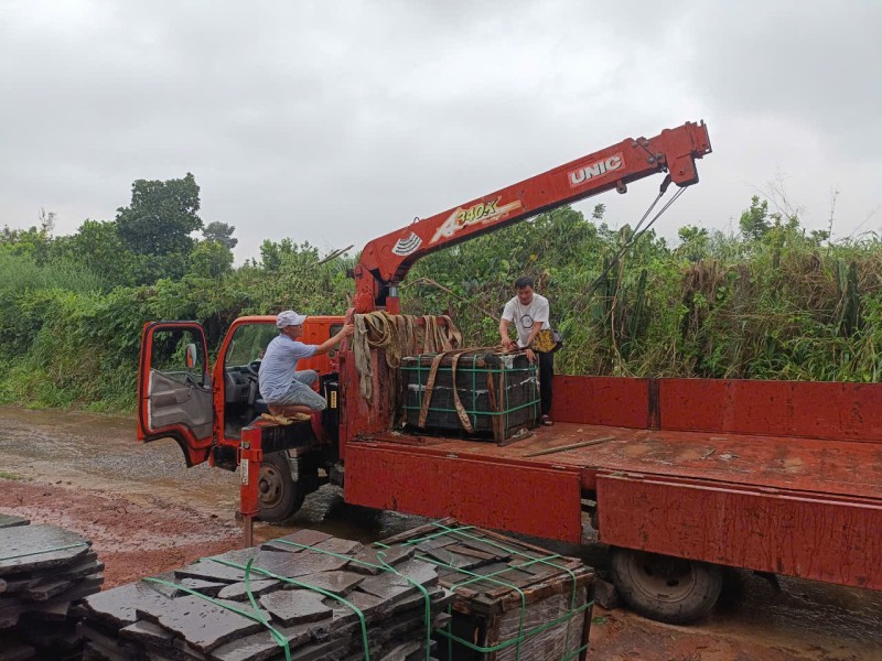 Dịch Vụ Cẩu Hàng Uy TÍn